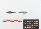 Foto von Bronzering (NHMW-PRAE-023768)